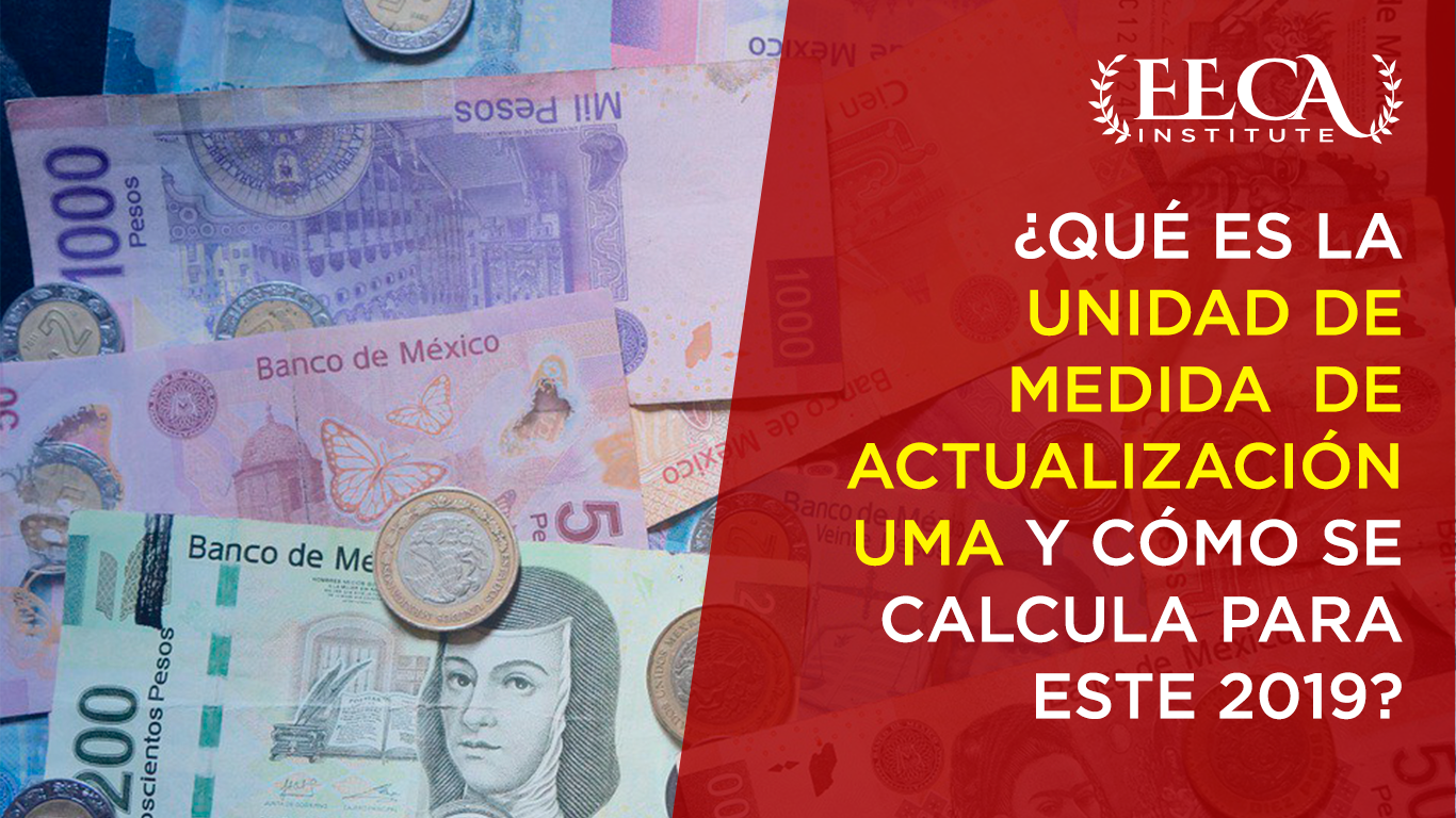 UMA Cálculo 2019 México